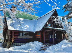 Hakuba Riverside Loghouse